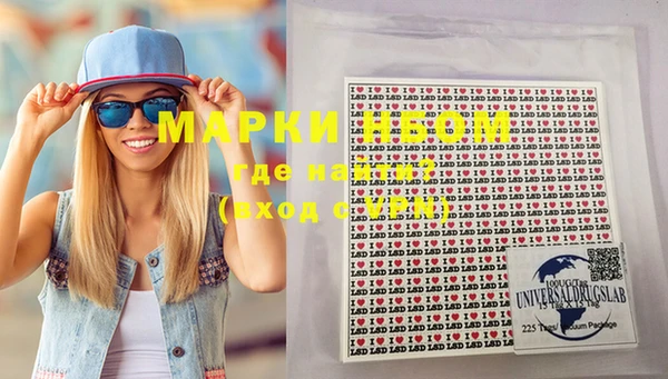 индика Беломорск