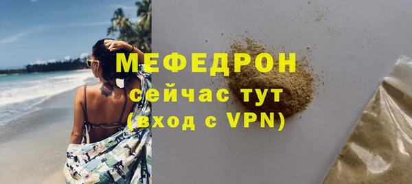 индика Беломорск