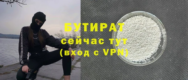 индика Беломорск