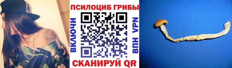 Галлюциногенные грибы мухоморы  Купить закладки  Ртищево 